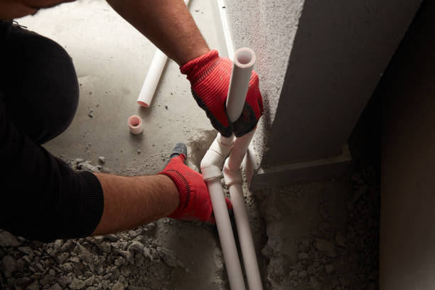 Best Same-Day Plumbing Service  in Winsted, MN