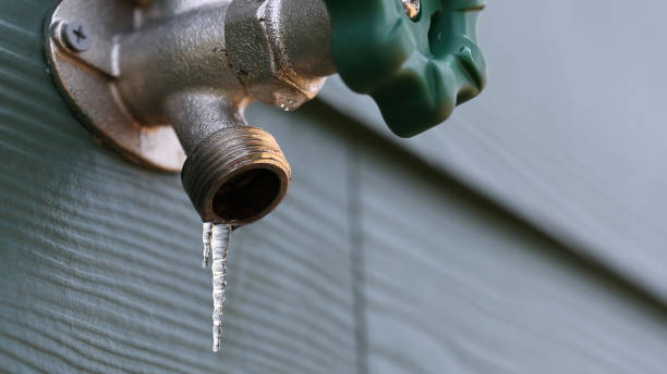 Best Leak Detection Services  in Winsted, MN